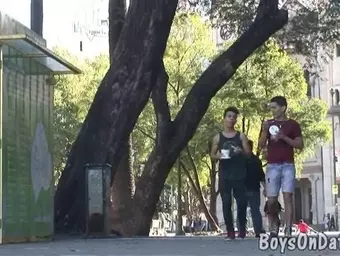 Snacks at a park and home meat-slurping